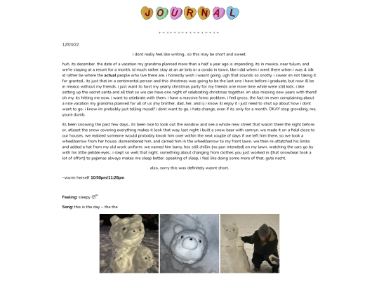 journal screenshot