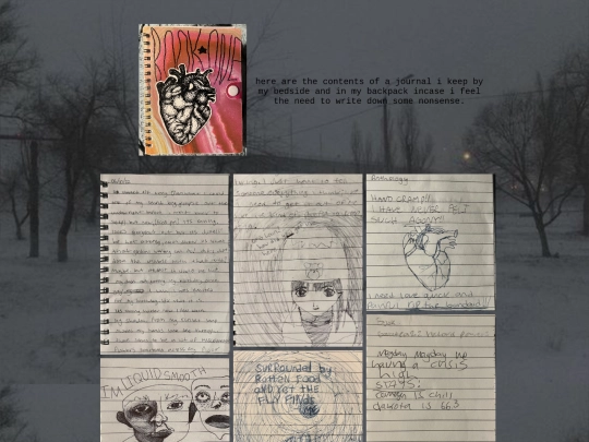 notebook screenshot