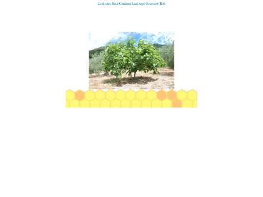 img5 screenshot