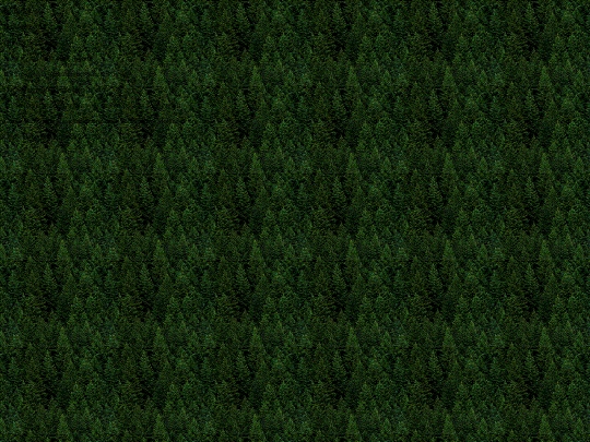 forest screenshot