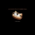 mondodeer.yorniq.xyz avatar