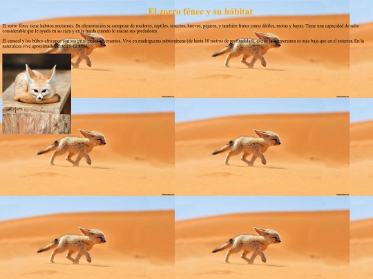 hogar screenshot