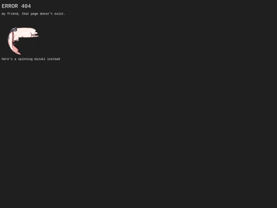 404 screenshot