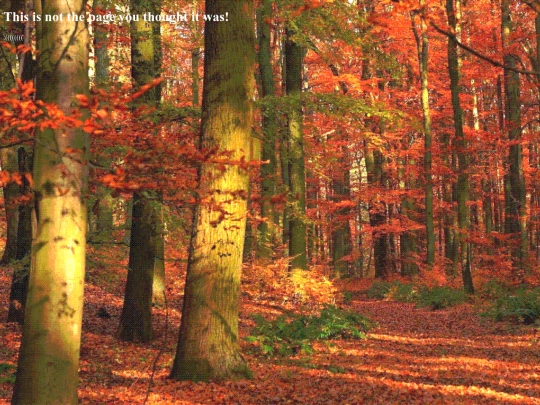 Blog/Blog_Template screenshot