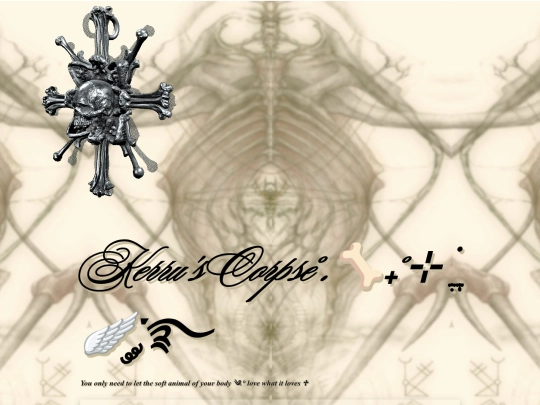 bones screenshot