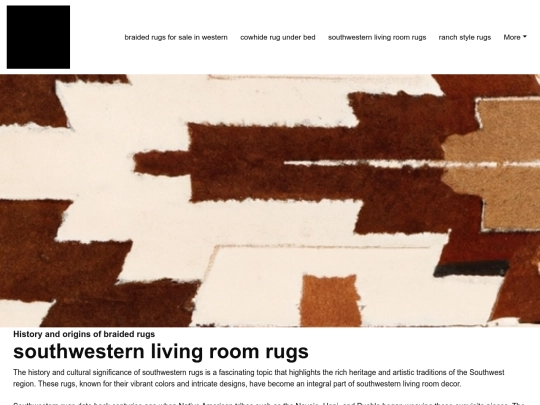 braided-rugs-for-sale-in-western/southwestern-living-room-rugs screenshot