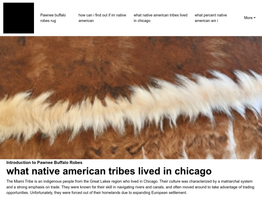 pawnee-buffalo-robes-rug/what-native-american-tribes-lived-in-chicago screenshot