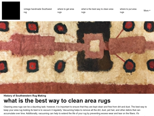 vintage-handmade-southwest-rug/what-is-the-best-way-to-clean-area-rugs screenshot