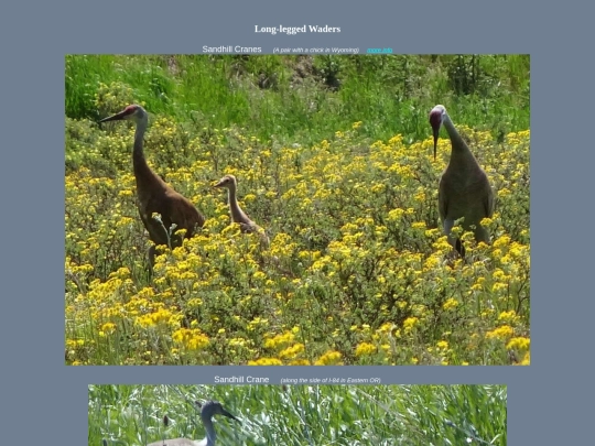 bird/Aspc1 screenshot