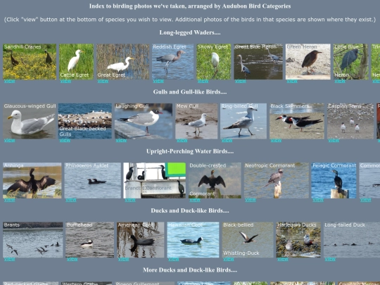 bird/AudHrz screenshot