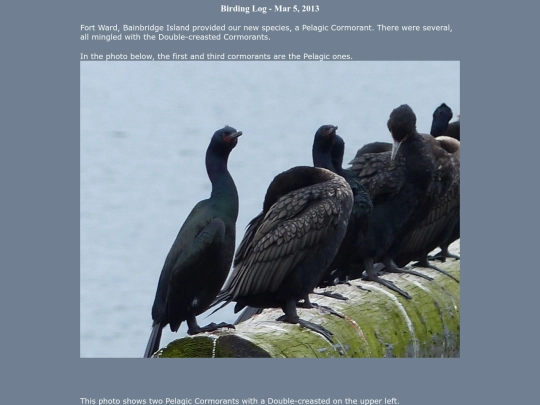 bird/L2/130305 screenshot