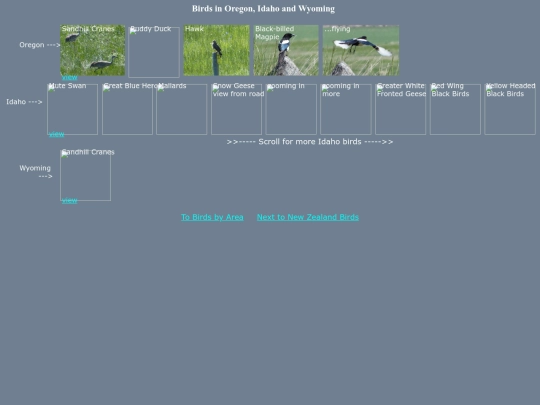bird/L2/MWhrz screenshot
