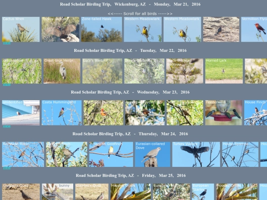 bird/az16/AZhrz screenshot
