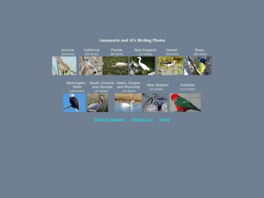 bird/geo screenshot