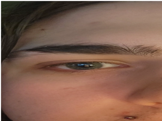 mfw screenshot