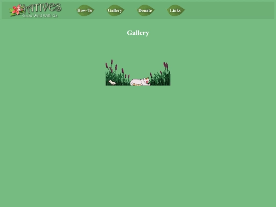 Gallery screenshot