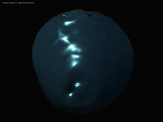 simulations/Lenia simulation screenshot
