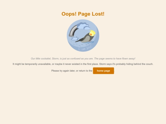 page_load_error screenshot