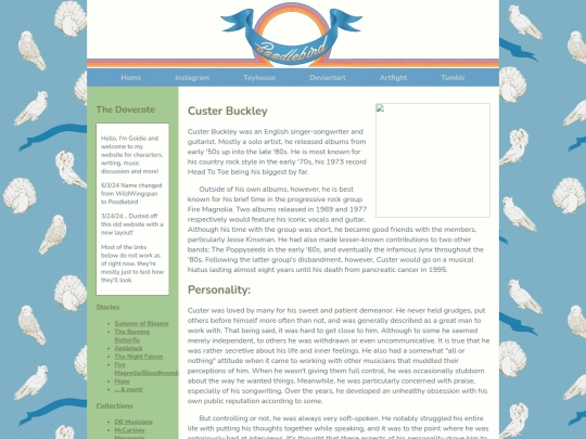 custer screenshot