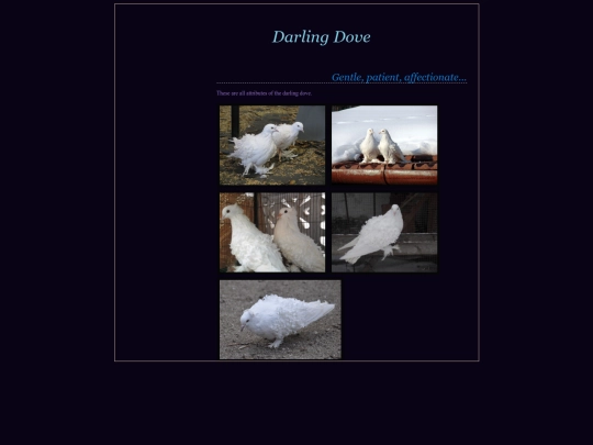 darlingdove screenshot