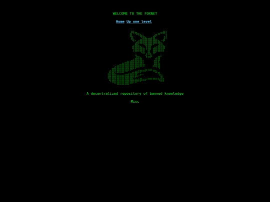 fox_net_project/misc screenshot