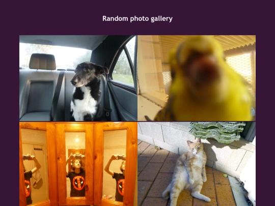 photos screenshot