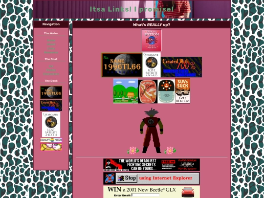 links screenshot