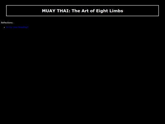 MuayThai screenshot