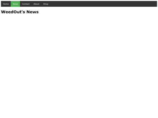 news screenshot