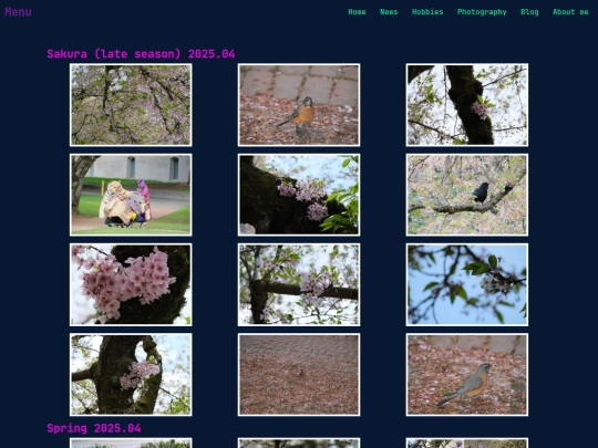 photography screenshot