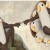 sillybirb.yorniq.xyz avatar