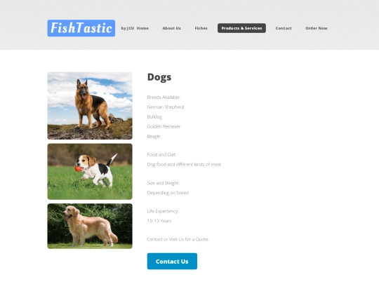 pets-dog screenshot