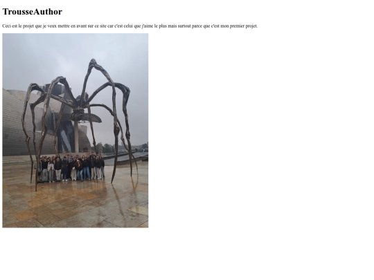 Monprojet screenshot