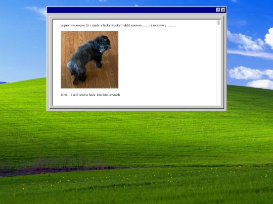 notfound screenshot