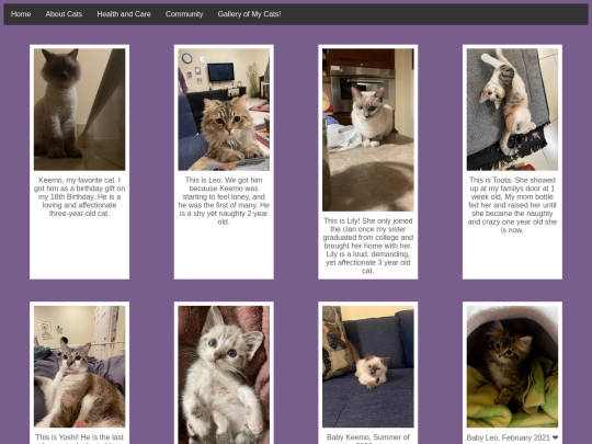gallery screenshot