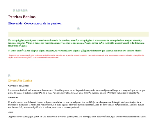 notas screenshot
