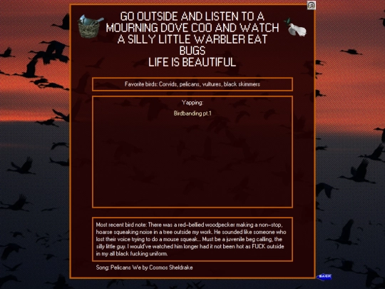 BlogEntries/Bird/BirdsHome screenshot