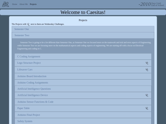 projects screenshot