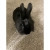 camryn.yorniq.xyz avatar