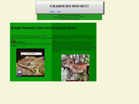 geckos screenshot