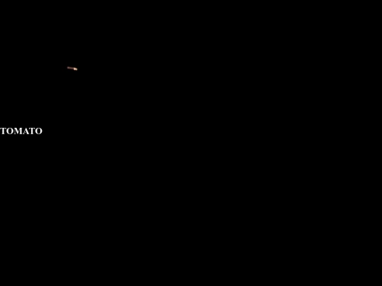 test/embed screenshot