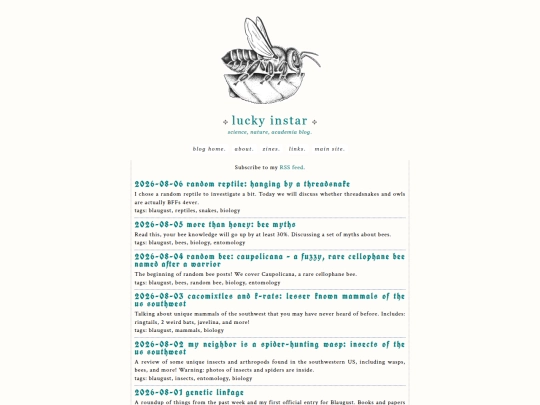blog screenshot