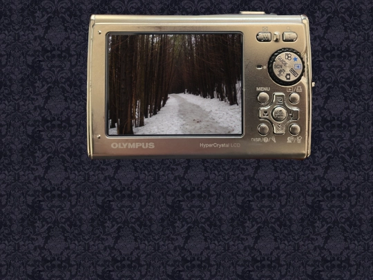 photos screenshot
