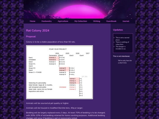 rats screenshot