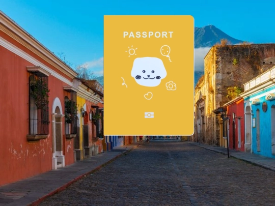 passport index-v2 screenshot