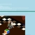 tinysadnico.yorniq.xyz avatar