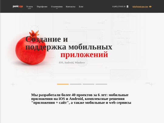 punicapp/website/20171117/start_c_1 screenshot