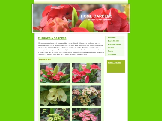 Euphorbia screenshot