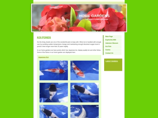 Koi1 screenshot