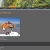 jerboagoat.yorniq.xyz avatar
